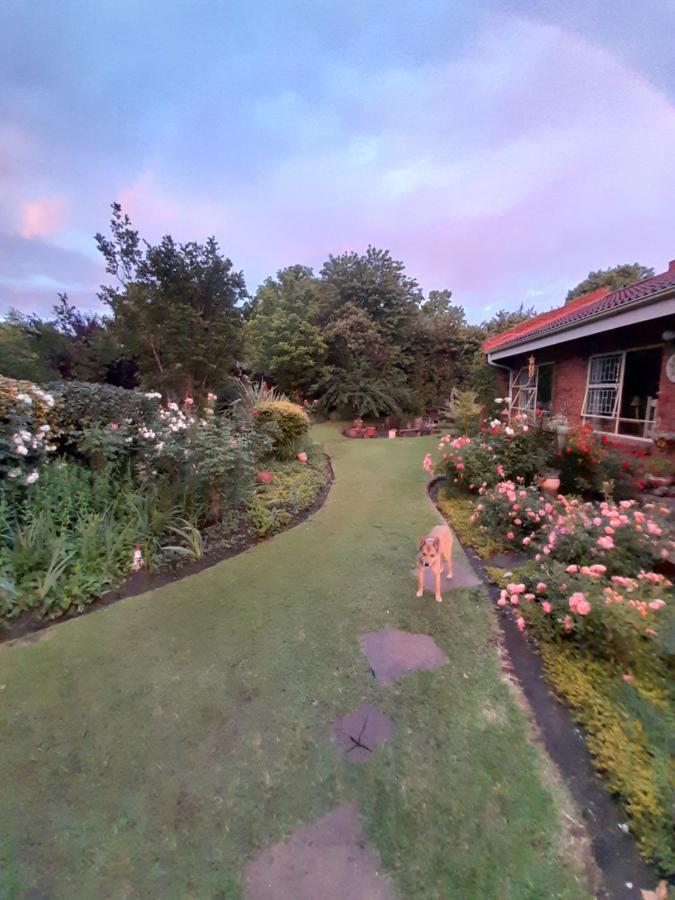 Amani Guest House Clarens Bagian luar foto