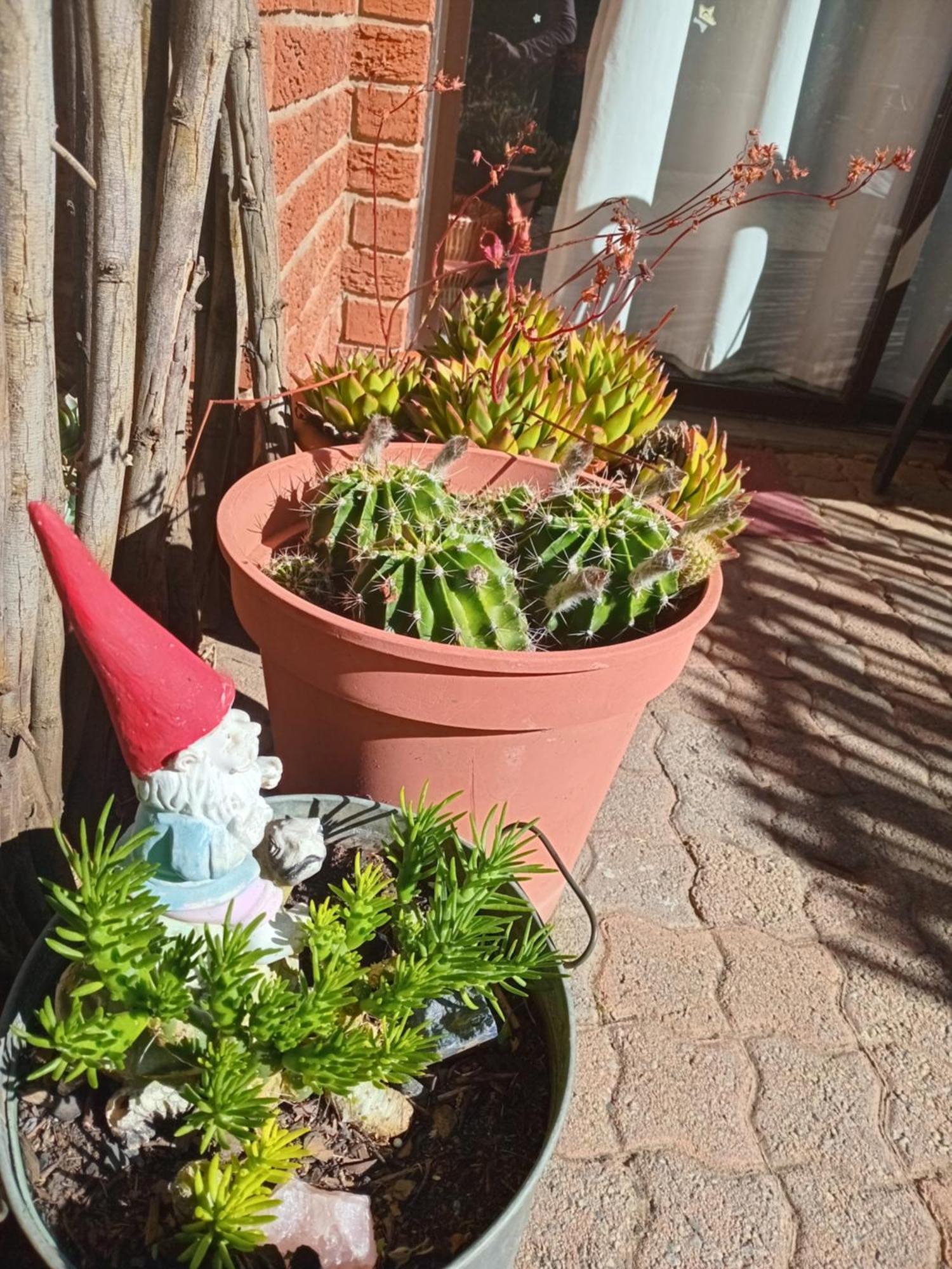 Amani Guest House Clarens Bagian luar foto