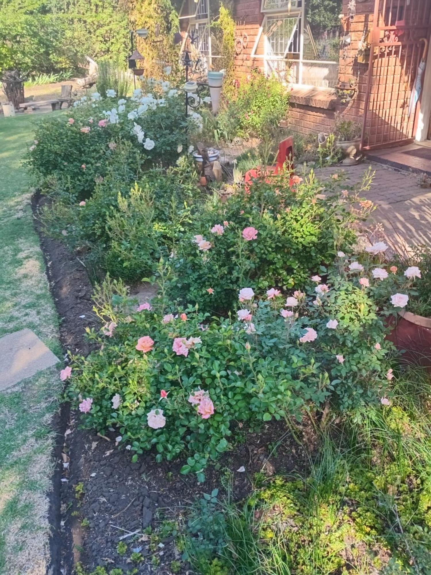 Amani Guest House Clarens Bagian luar foto