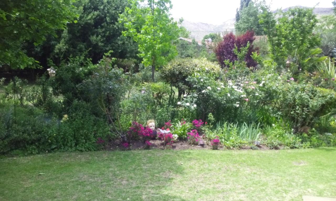Amani Guest House Clarens Bagian luar foto